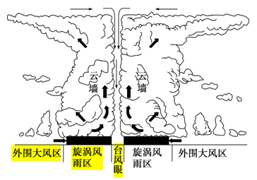 台风