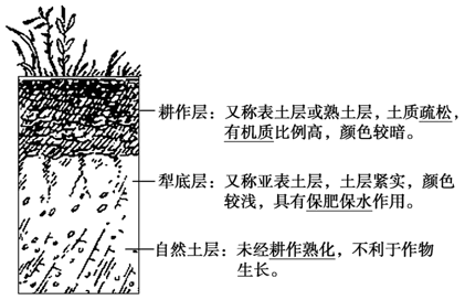 土壤剖面构造2