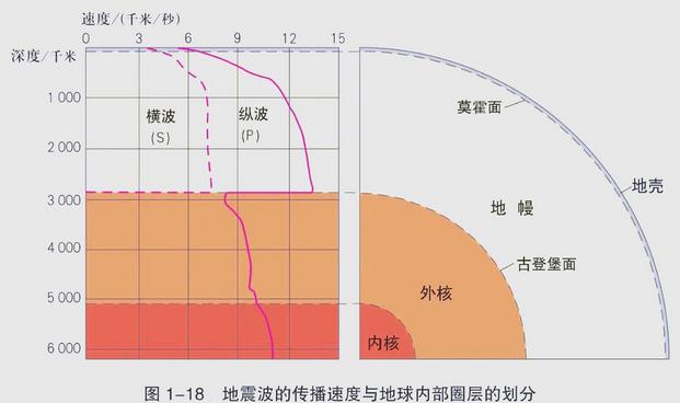 纵波和横波
